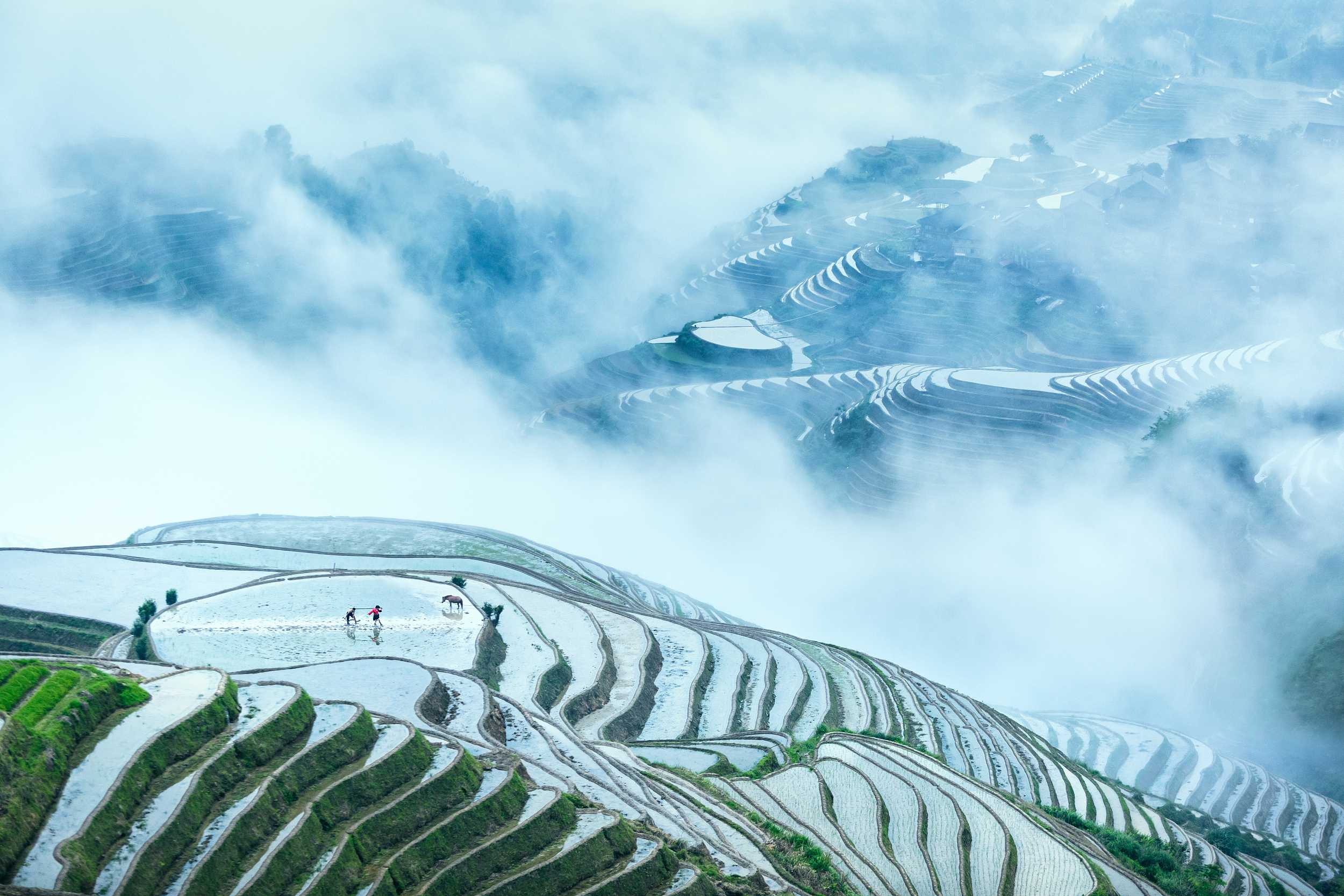 龍脊梯田層層疊疊,如巨龍盤踞山間,在藍天白雲的映襯下,勾勒出一幅壯麗的田園畫卷。 龍脊梯田層層疊疊,如巨龍盤踞山間,在藍天白雲的映襯下,勾勒出一幅壯麗的田園畫卷。