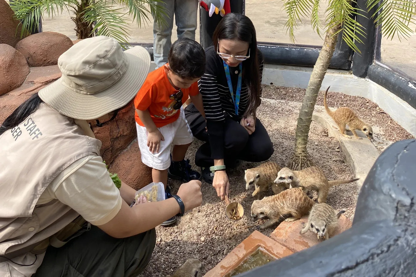 在園區的教育區，孩子們可以親手與狐獴互動，從中學習野生動物知識