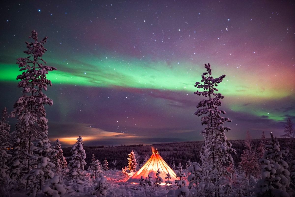 Northern Lights Tour with Professional Camera in Rovaniemi