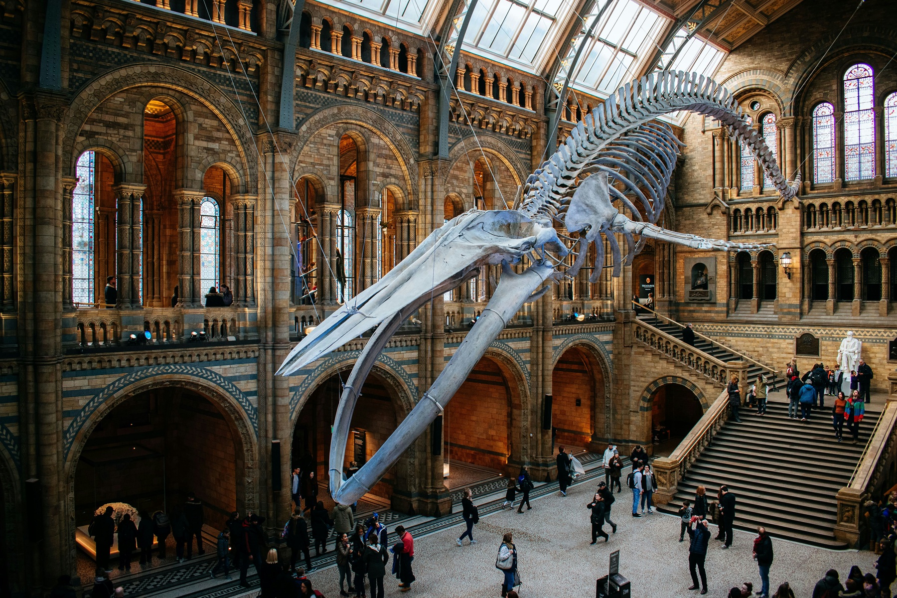 London: Natural History Museum Reserved Entry & Audio Tour