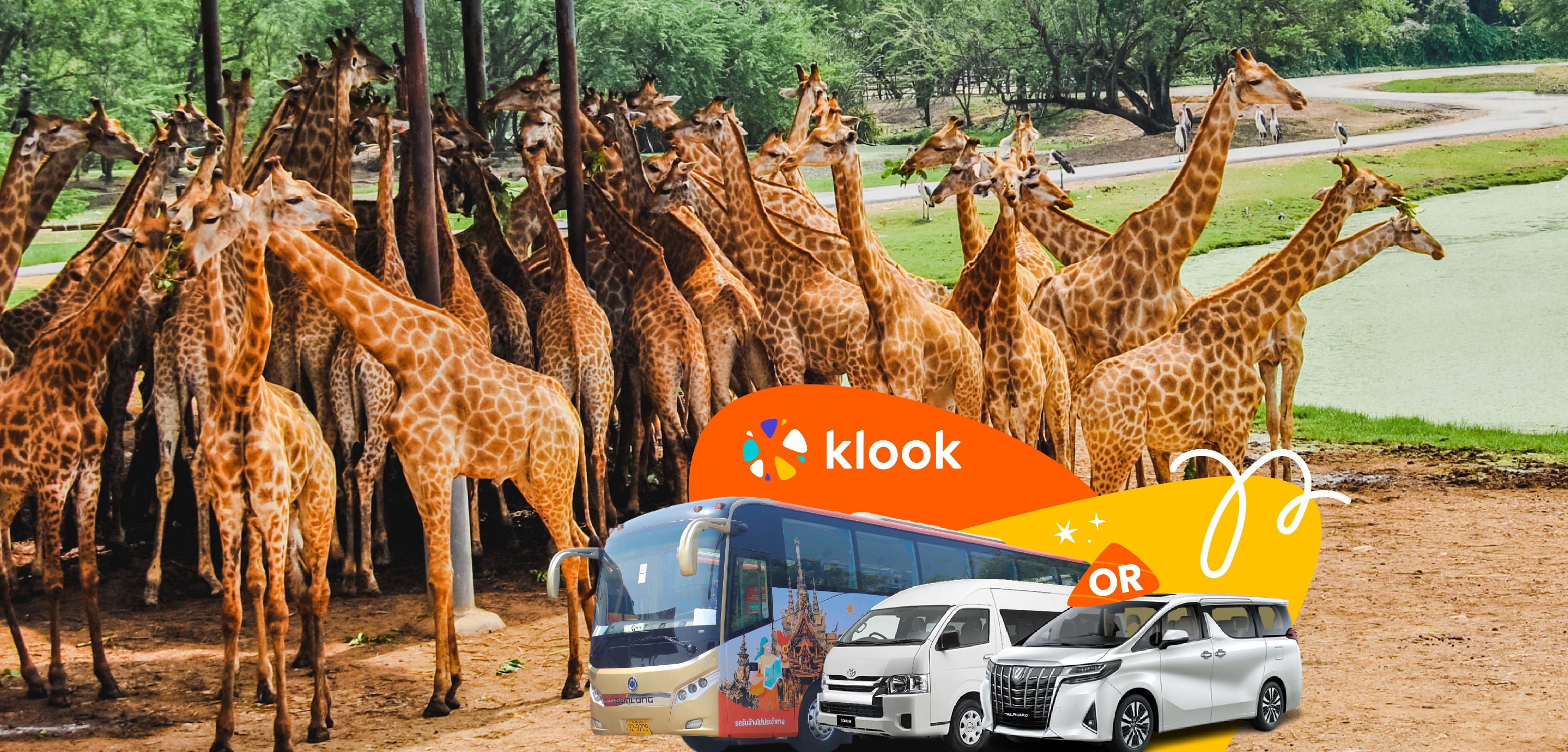 私人 / 共乘景點接送 曼谷賽福瑞野生動物園（Bangkok Safari World）接送服務