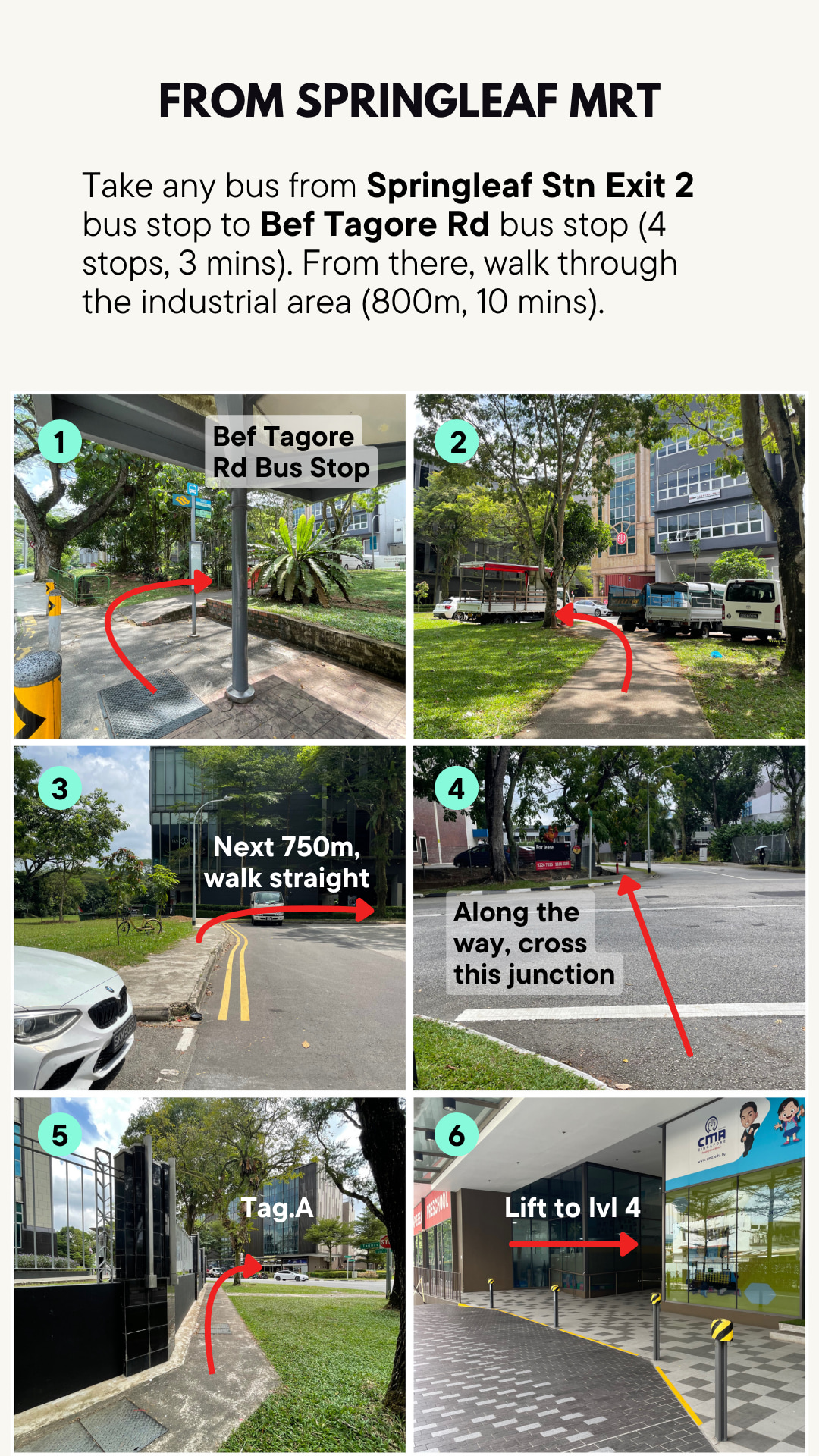 directions for the untamed paths