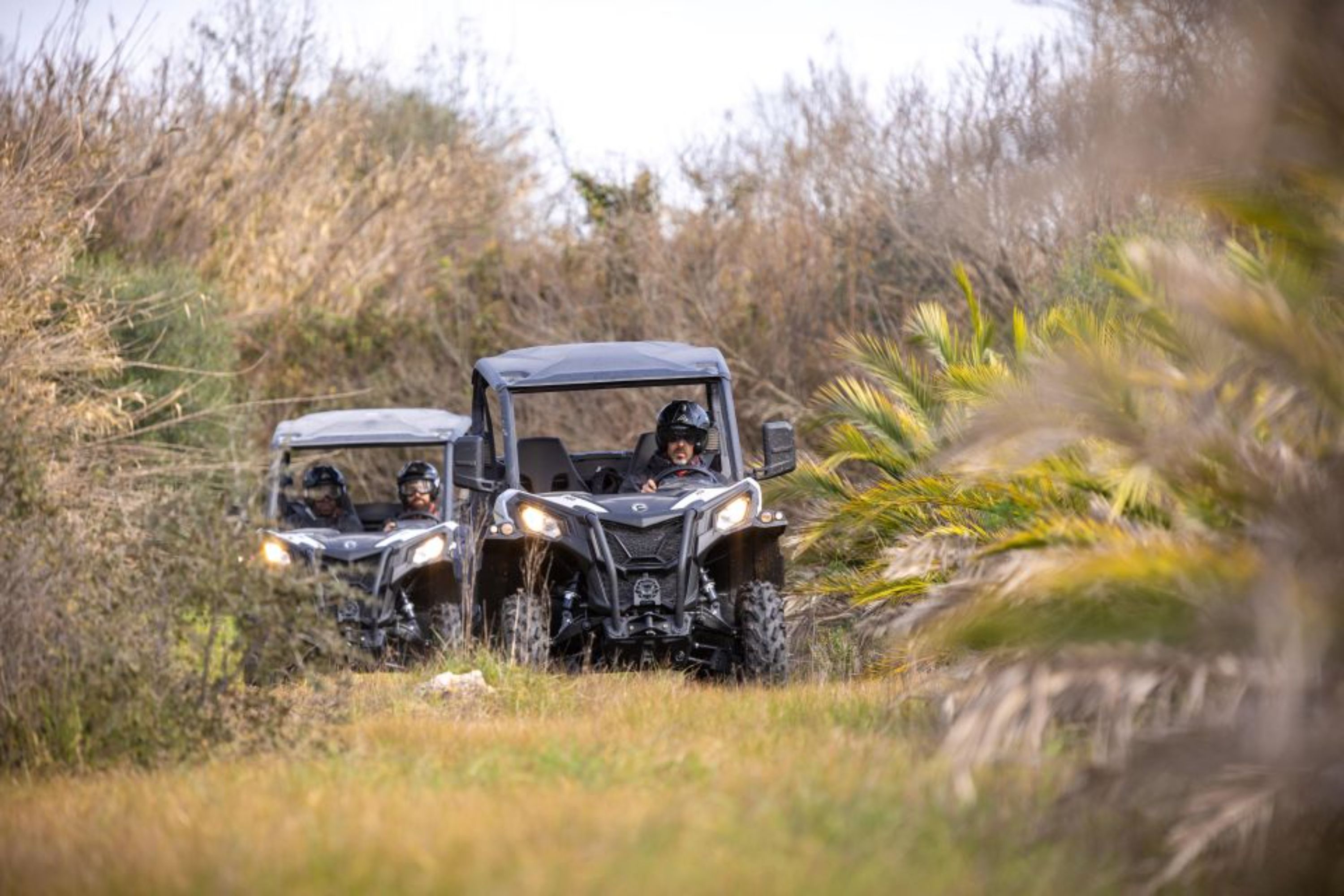 Off-Road Buggy Adventure from Porto