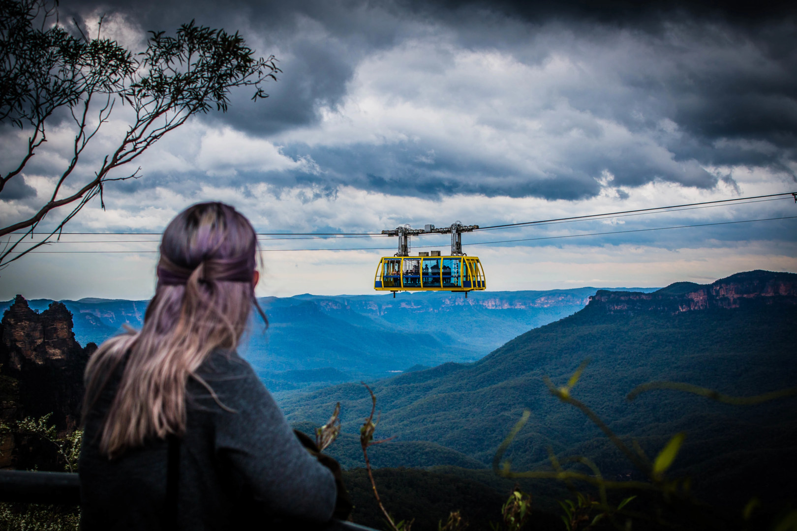 Blue Mountains Private Tour: Featherdale, Katoomba and Three Sisters