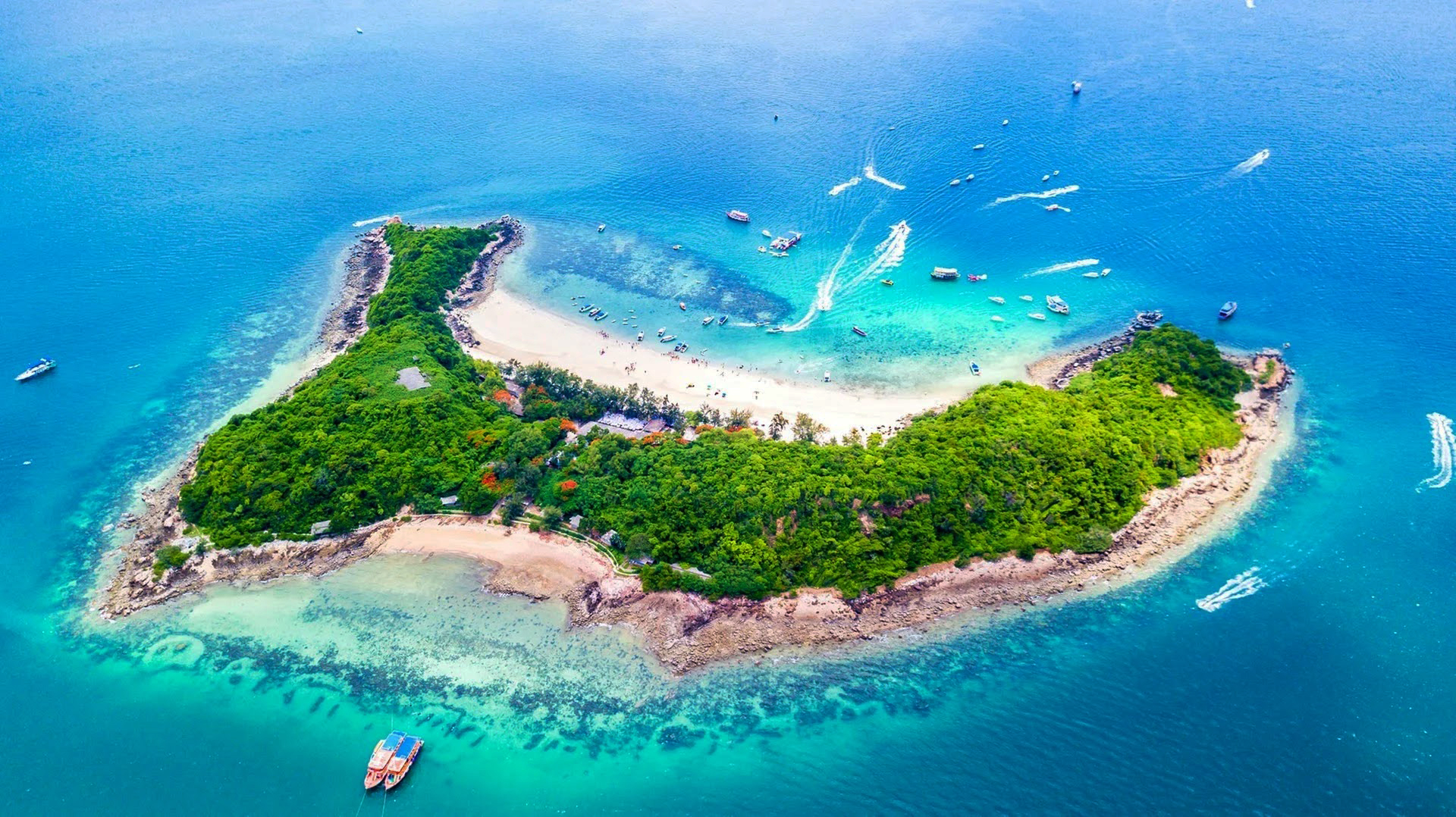 芭堤雅至珊瑚島（Koh Larn）私人快艇