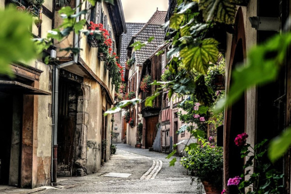 Capture the essence of Colmar with a guided walk through its colorful and scenic streets