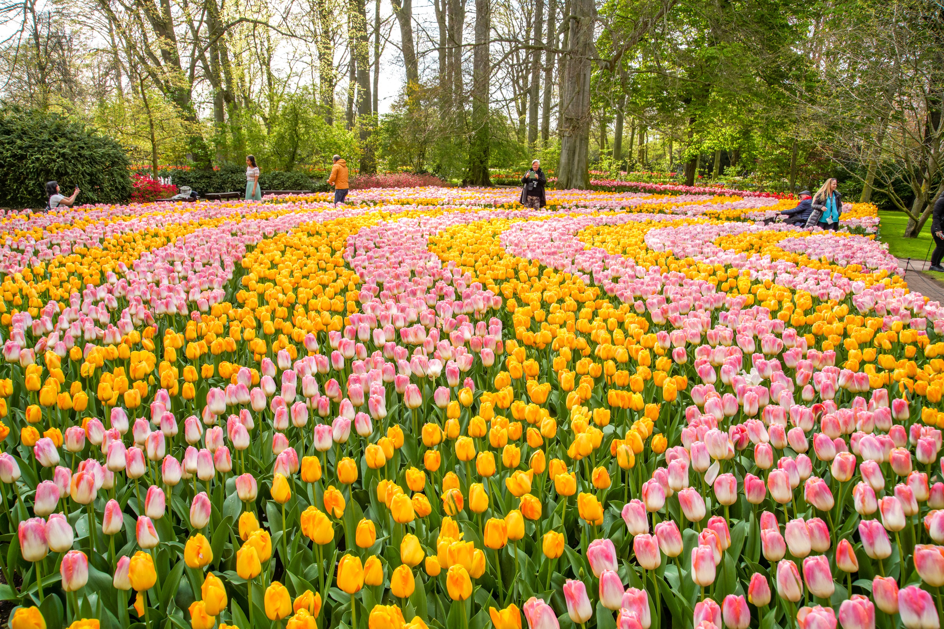 Keukenhof Tours with Countryside and Cruise Options