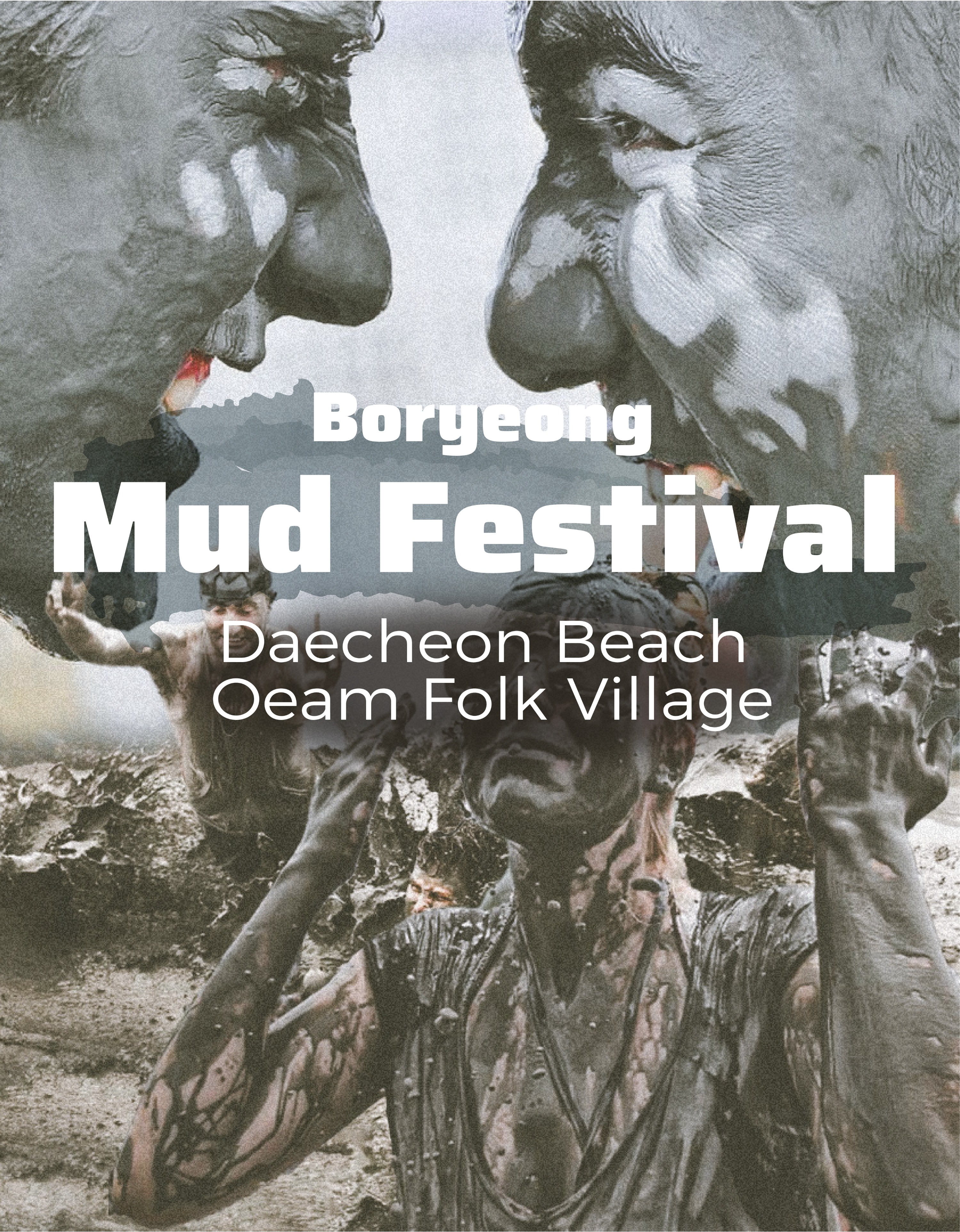 Boryeong Mud Festival / Daecheon Beach / Oeam Folk Village 