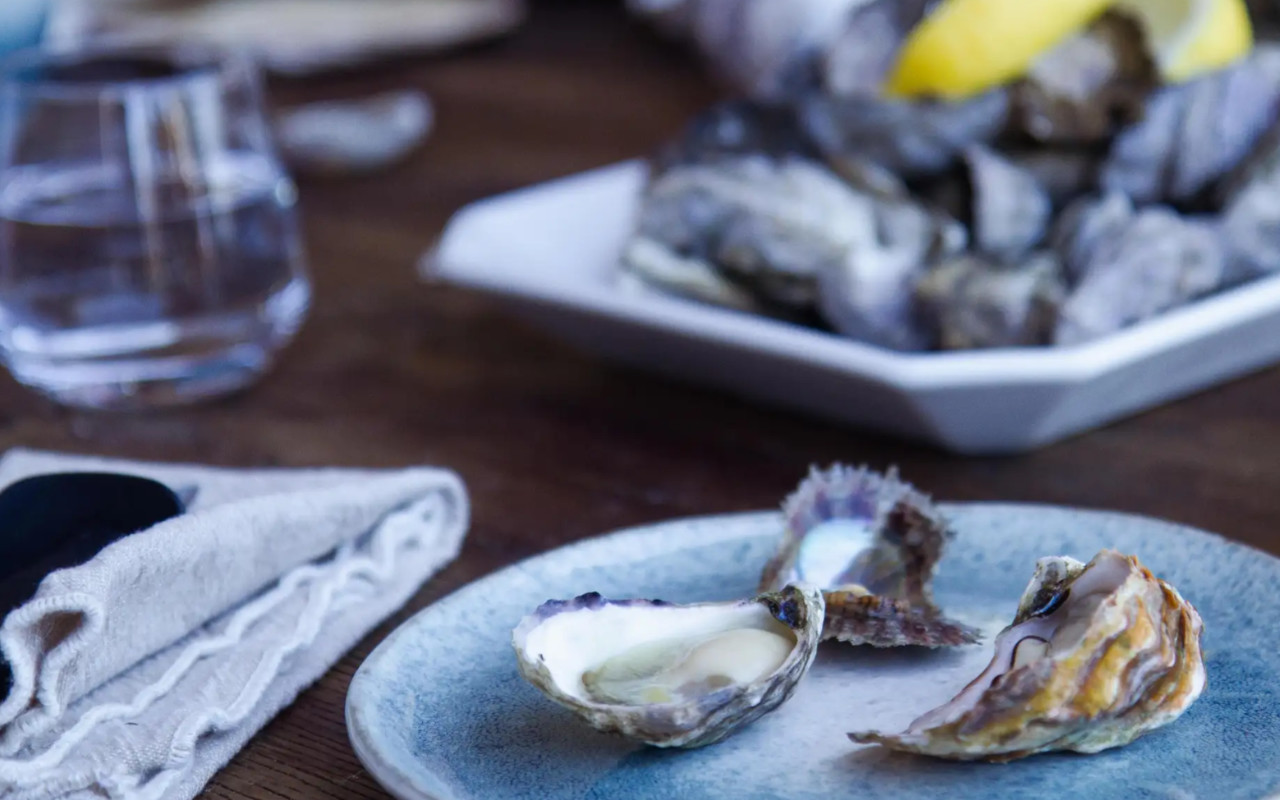 Oyster Tasting with Live Shucking Demonstration Experience