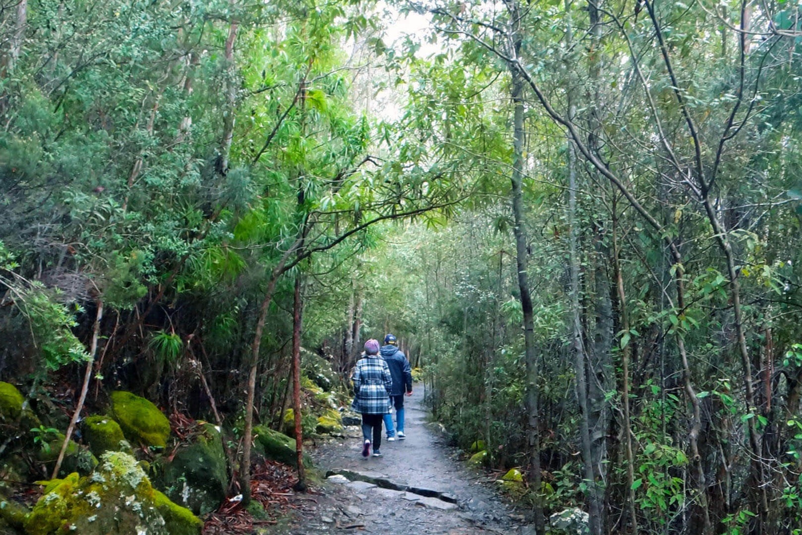 在威靈頓山 (Mt Wellington) 的 5 個停靠站中任選一站下車,享受健行樂趣 在威靈頓山 (Mt Wellington) 的 5 個停靠站中任選一站下車,享受健行樂趣