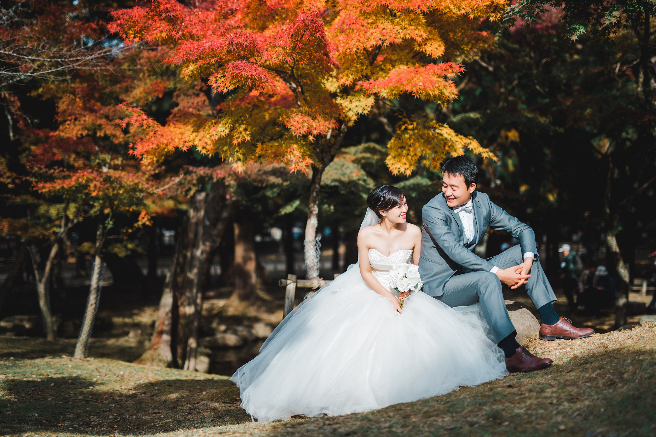 奈良公園 - 廣闊的公園,有自由漫步的鹿群,並可欣賞東大寺的景色,提供有趣且標誌性的畫面。 奈良公園 - 廣闊的公園,有自由漫步的鹿群,並可欣賞東大寺的景色,提供有趣且標誌性的畫面。
