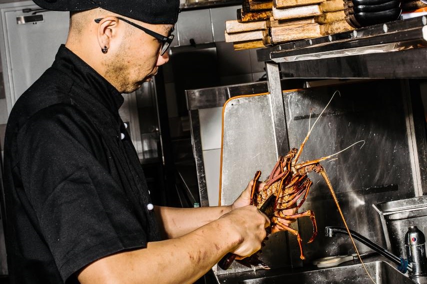 觀看熟練的廚師專業處理活體龍蝦以進行新鮮烹製