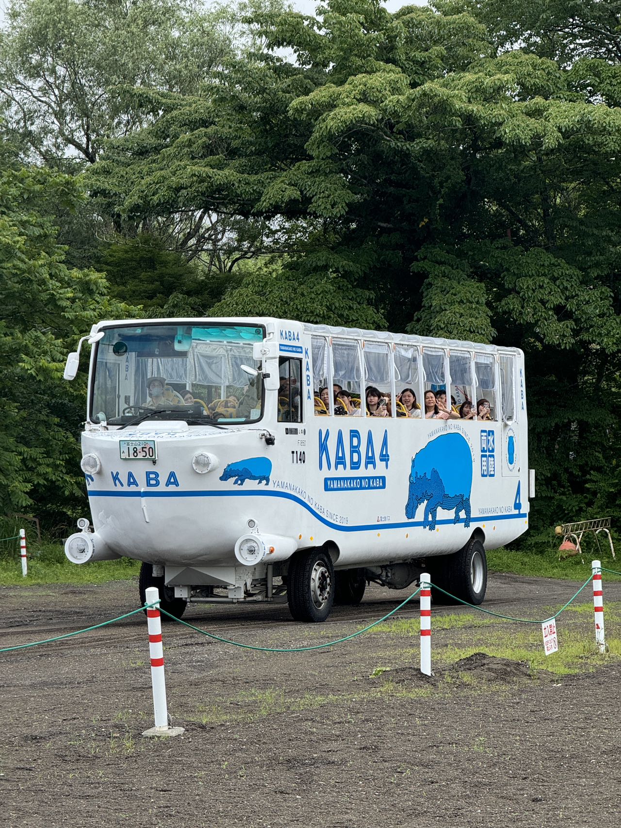 富士山人氣水陸兩用船一日遊｜河口湖大石公園&忍野八海&山中湖KABA BUS河馬水陸兩用遊船（可選）&平野之浜（東京出發）