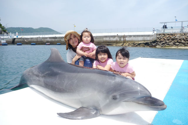 Umitama Experience Park Tsukumi Dolphin Island Admission Ticket (Oita)