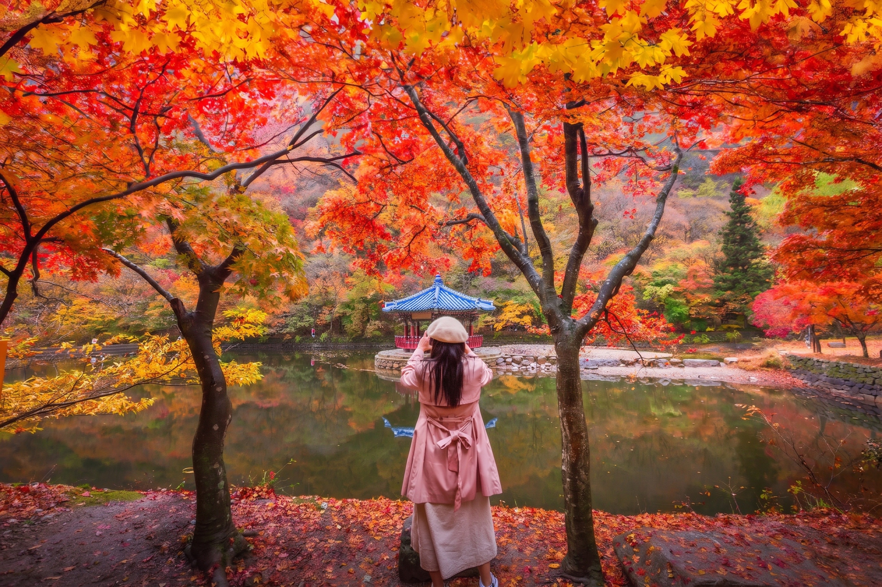 Naejangsan National Park Autumn Foliage One Day Tour from Seoul