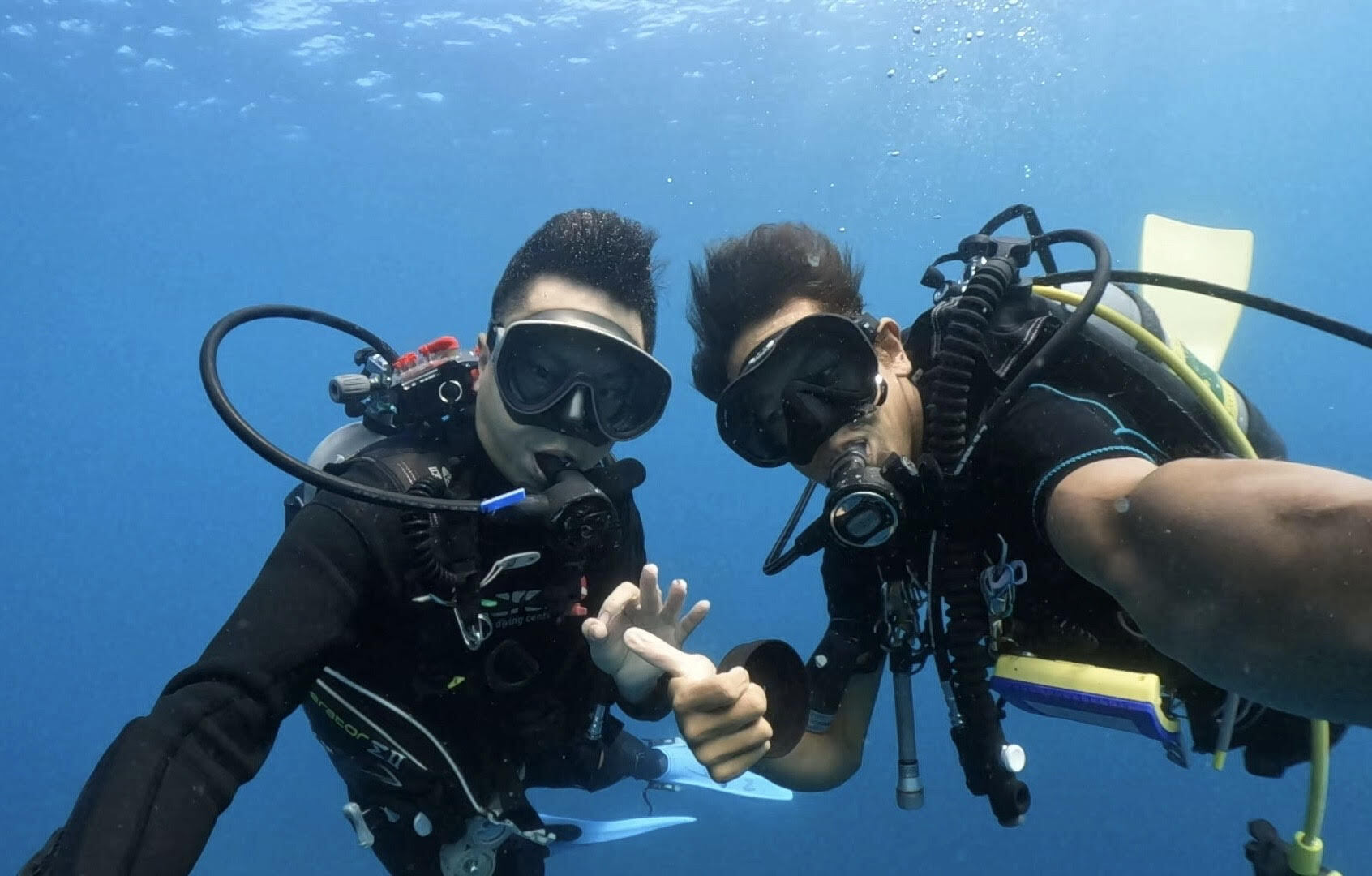 License holders' Diving Experience In Wakayama