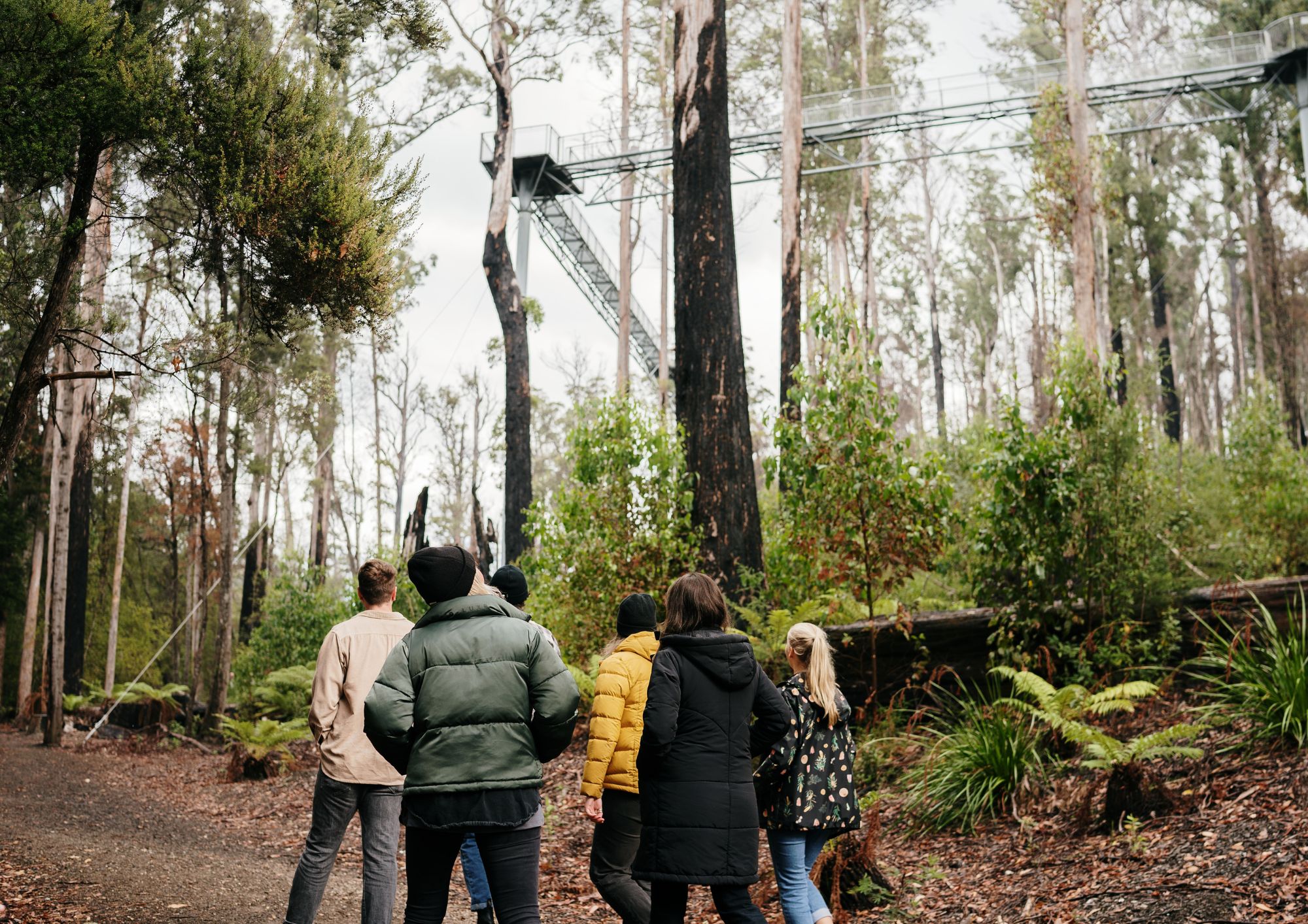 4 Day Bundle - Hobart, Port Arthur, Bruny, Hastings and Tahune