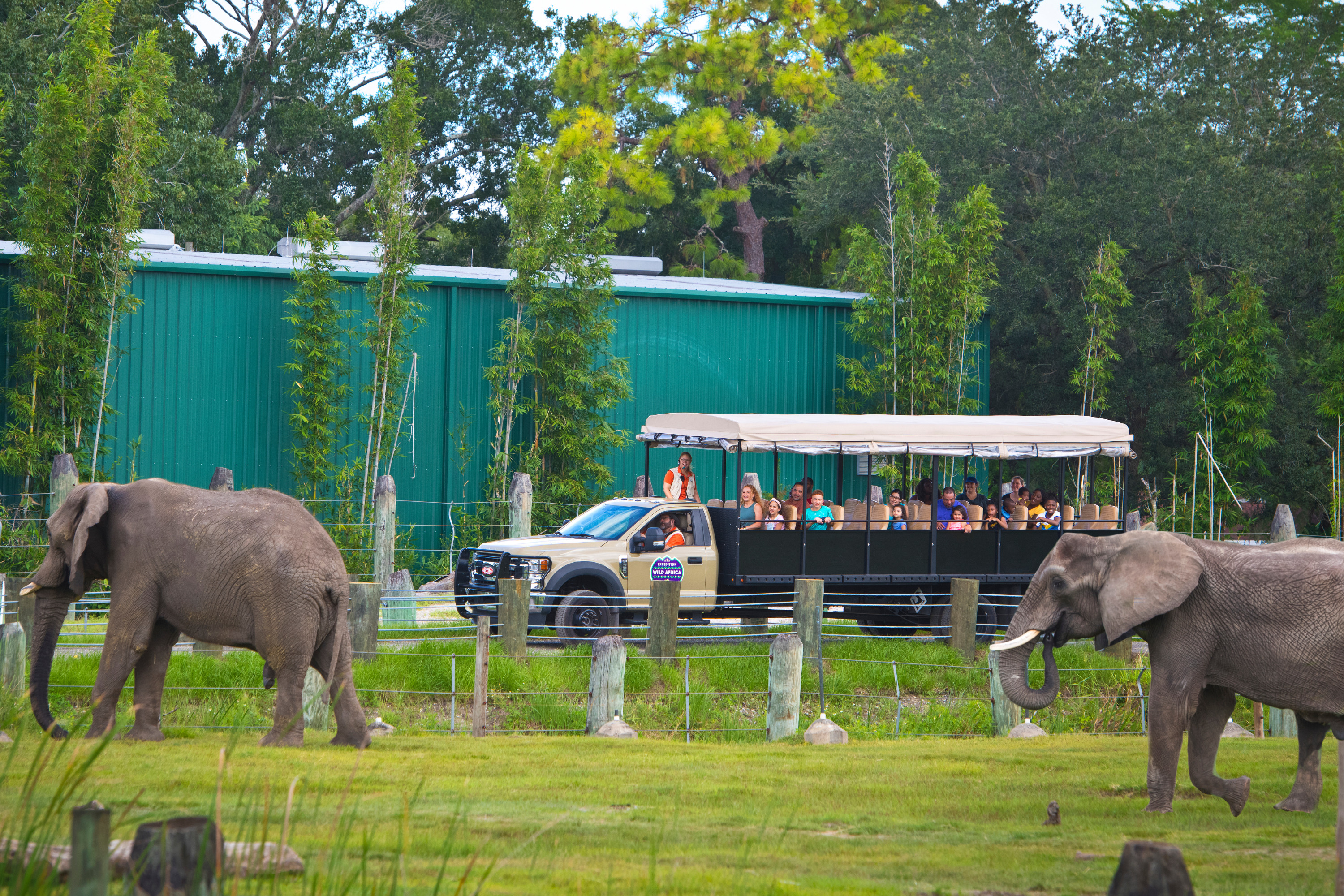 坦帕羅瑞動物園（ZooTampa）門票