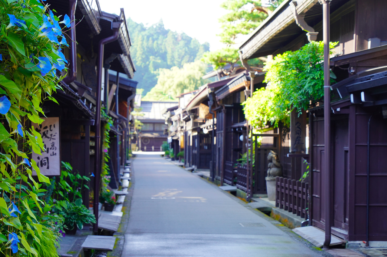 世界遺產白川鄉＆上高地or富山河口湖秘境2日遊（東京出發）