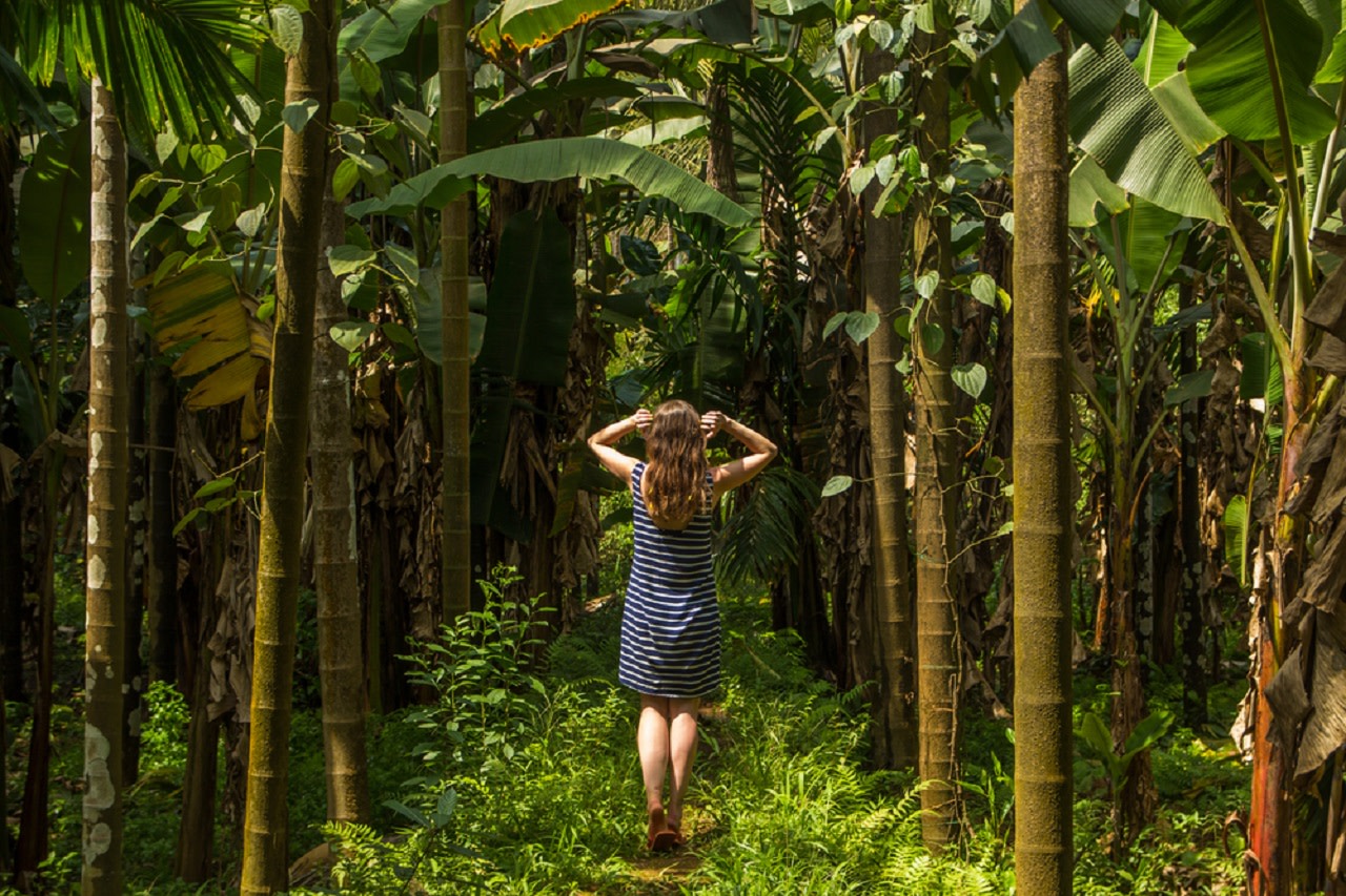 Experience the Best of South Goa with Spice Plantation Private Tour