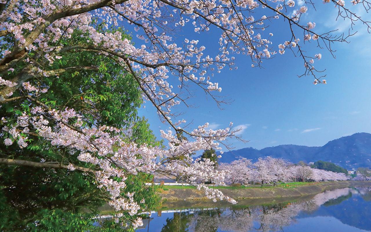 Kumamoto Castle & Uto Taiko Museum Full-Day Experience with Fruit Picking