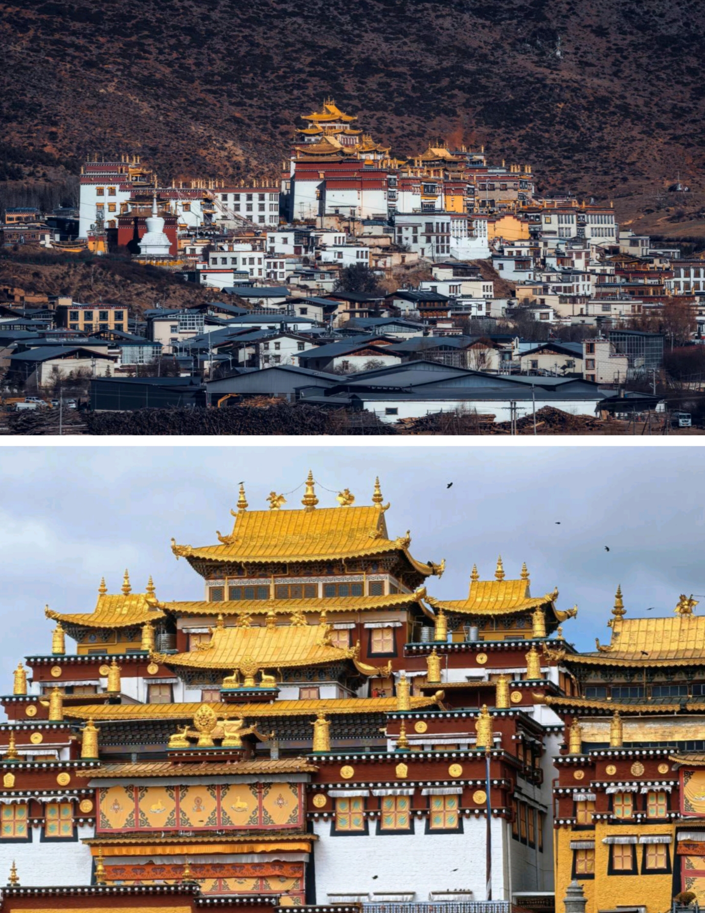 Yunnan Dali Lijiang Shangri-La 5 days (Erhai Shuanglang, Lijiang Old Town, Jade Dragon Snow Mountain Cableway Challenge 4680, Little Potala Palace Songzanlin Temple, Tiger Leaping Gorge)