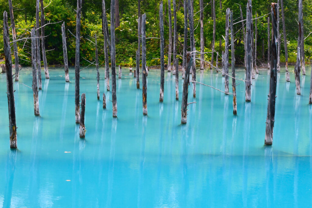因電腦壁紙走紅，成為北海道必打卡景點。