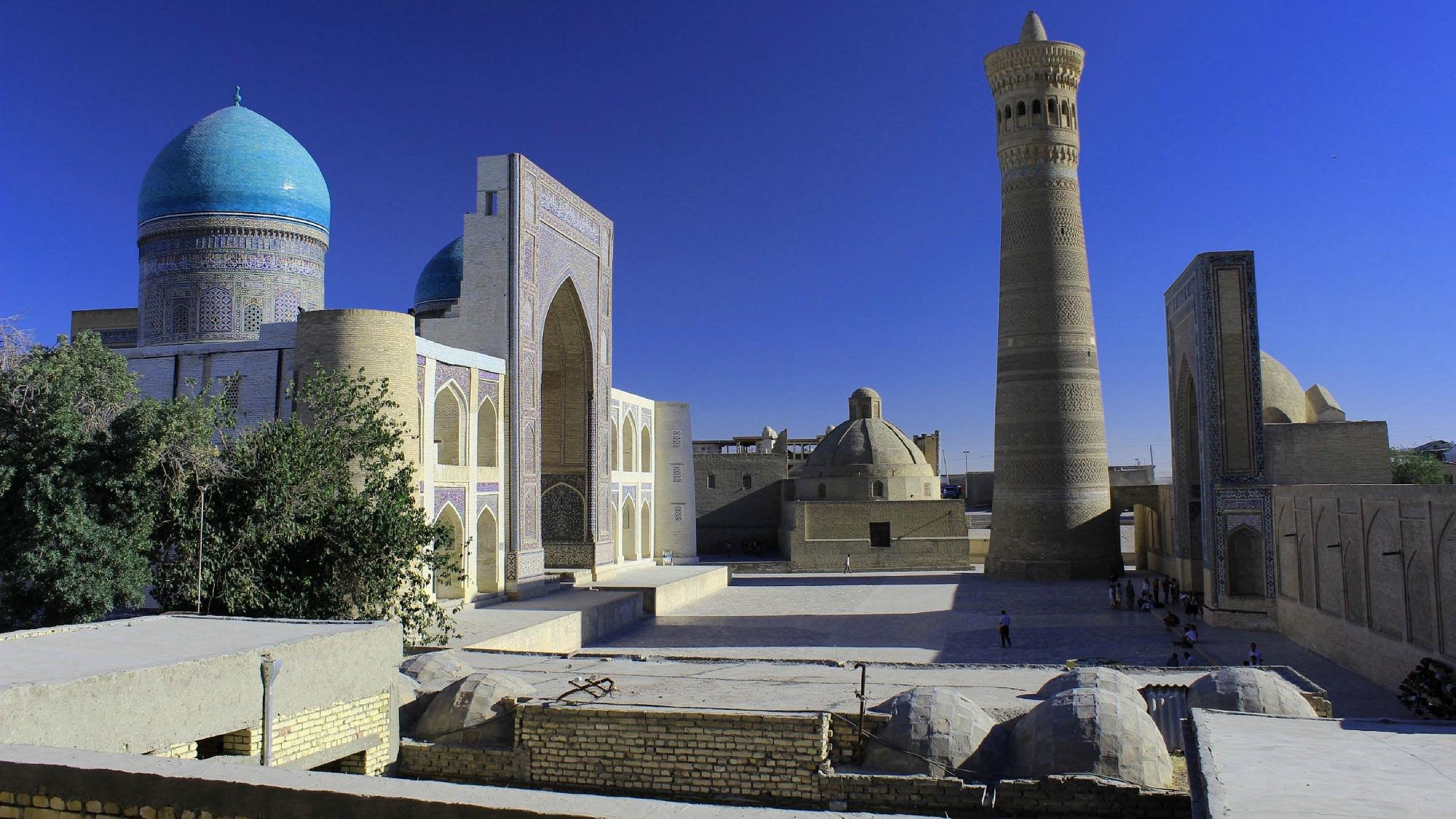 Ark of Bukhara & Kalon Minaret One-day Historical & Cultural Tour