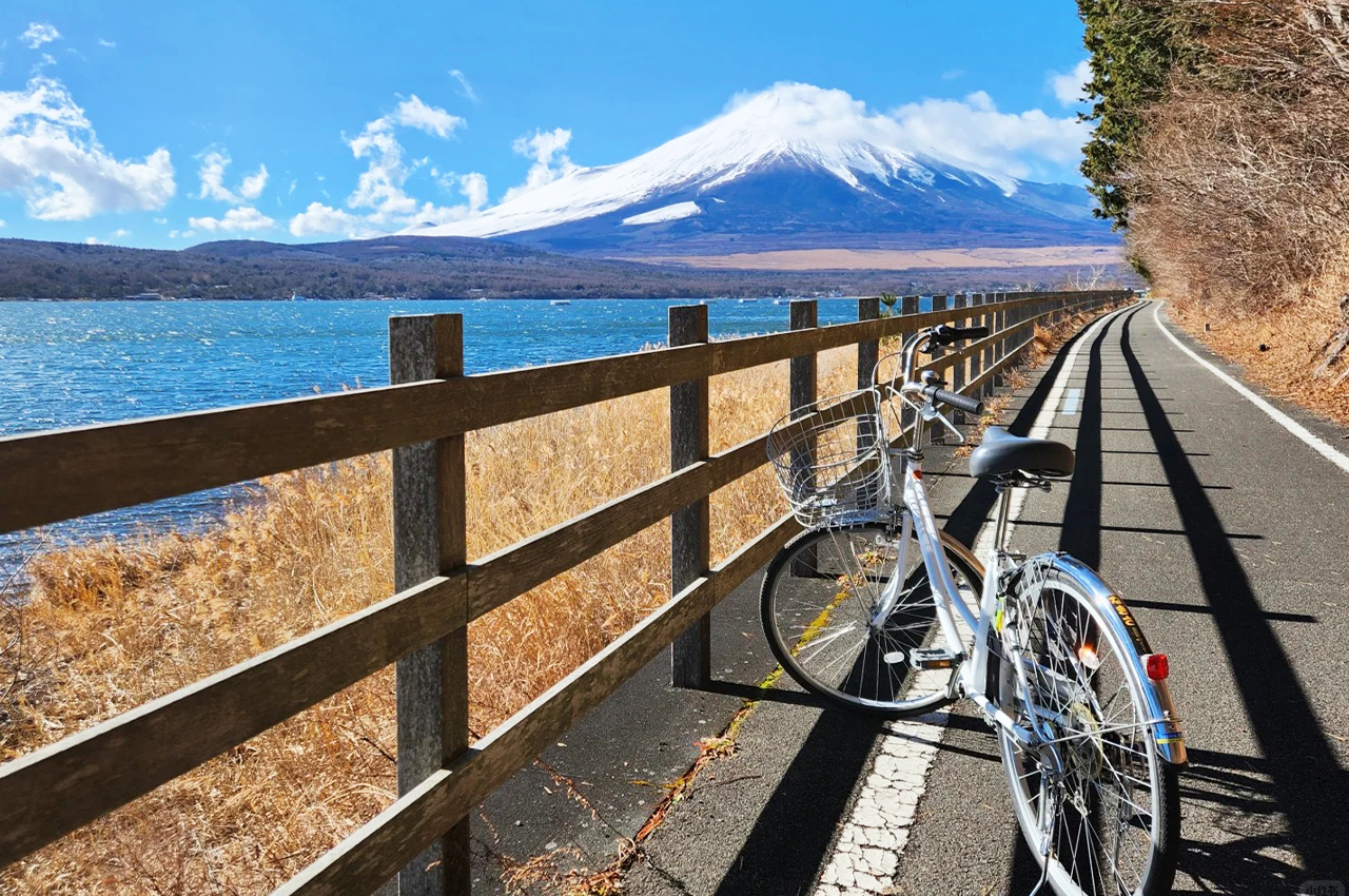 富士山山中湖單車騎行 河口湖纜車 抹茶體驗 網紅景點打卡二日遊｜4~9人精品小團｜東京/新宿出發