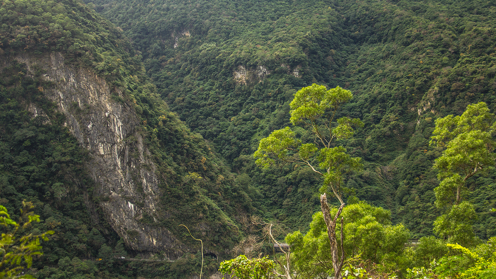 Hualien: Stairway to Heaven-Dekaron Trail Tour