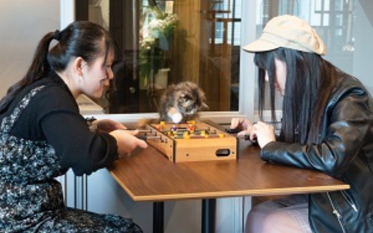 Cat Cafe MOCHA Lounge Shibuya Koen-dori in Tokyo