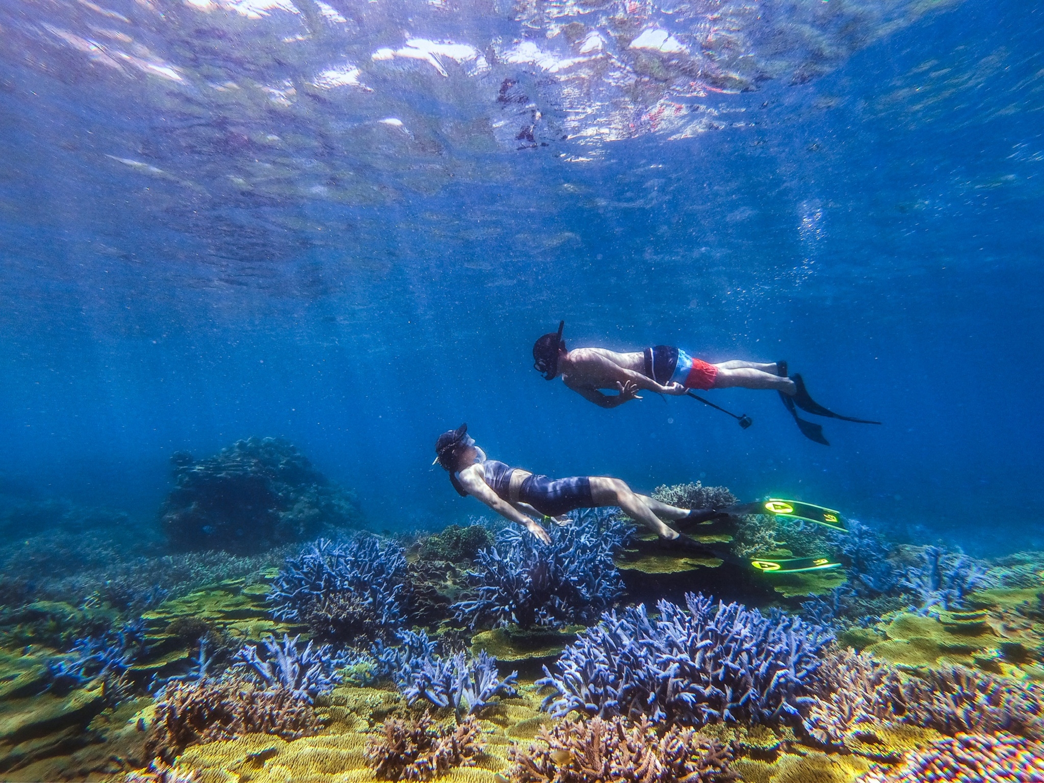澎湖：珊瑚礁忘憂島一日遊 - 忘憂島秘境／浮潛・私人海上度假樂園・海上侏羅紀公園