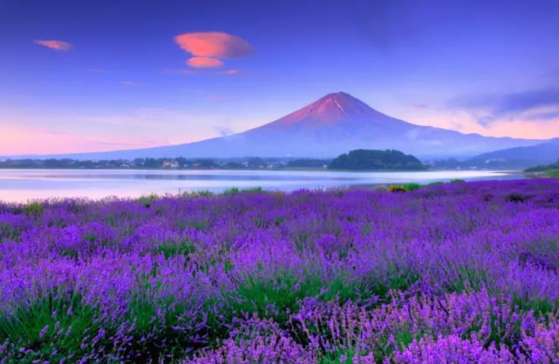 富士山經典一日遊｜五合目 & 五層寶塔 & 本町商店街 & 大石公園（東京出發）