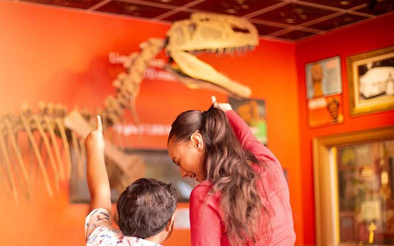 Ripley's Believe It or Not! Ticket in Niagara Falls