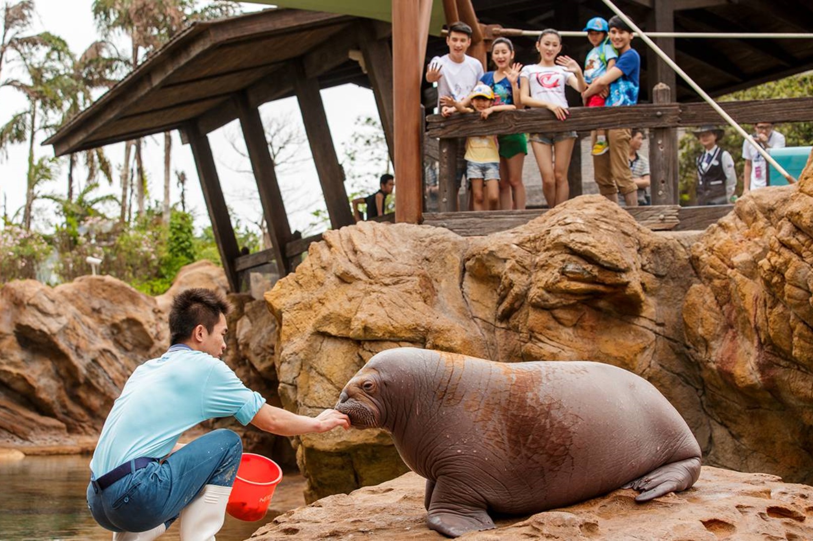 海象島
在「海象島」的一條神秘村莊裡,一群北半球的真正「土著居民」正睡著懶覺享受陽光,但只要用餐時間一到,海象家族就會成群結伴深潛入海,利用打磨得鋒利的長牙覓食。 海象島
在「海象島」的一條神秘村莊裡,一群北半球的真正「土著居民」正睡著懶覺享受陽光,但只要用餐時間一到,海象家族就會成群結伴深潛入海,利用打磨得鋒利的長牙覓食。