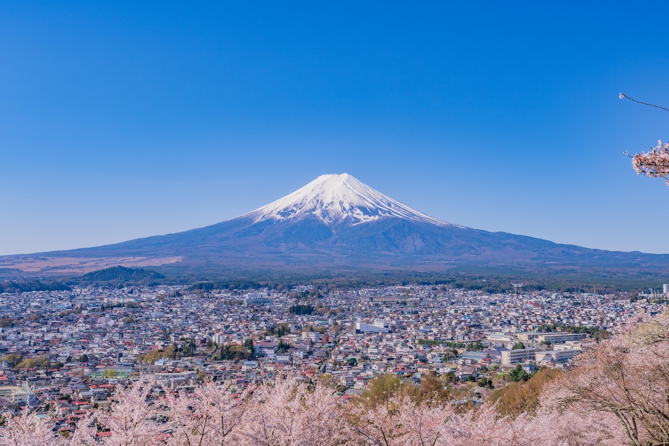富士山壯麗美景或芝櫻節浪漫花海一日遊 （東京出發）