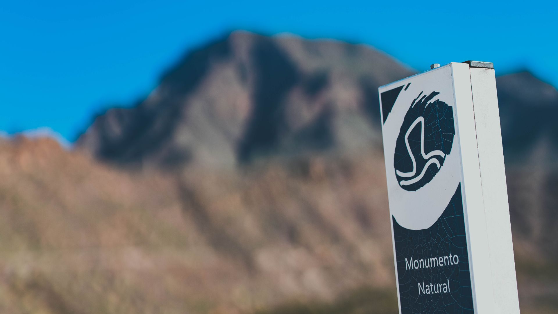 Feel the breeze, soak up sights, and share laughs on this adventure