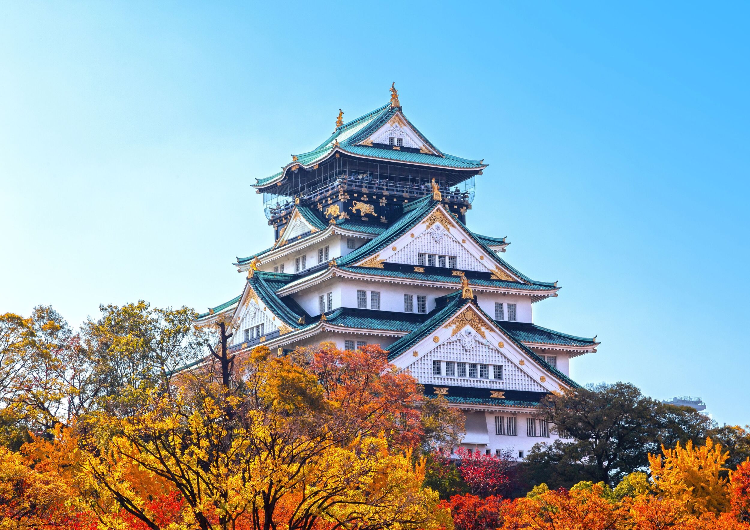 我們的課程位於日本最受歡迎的旅遊城市大阪市中心，這裡擁有獨特的歷史和文化，是您一生中必遊之地。
課後您還可以探索歷史遺蹟！