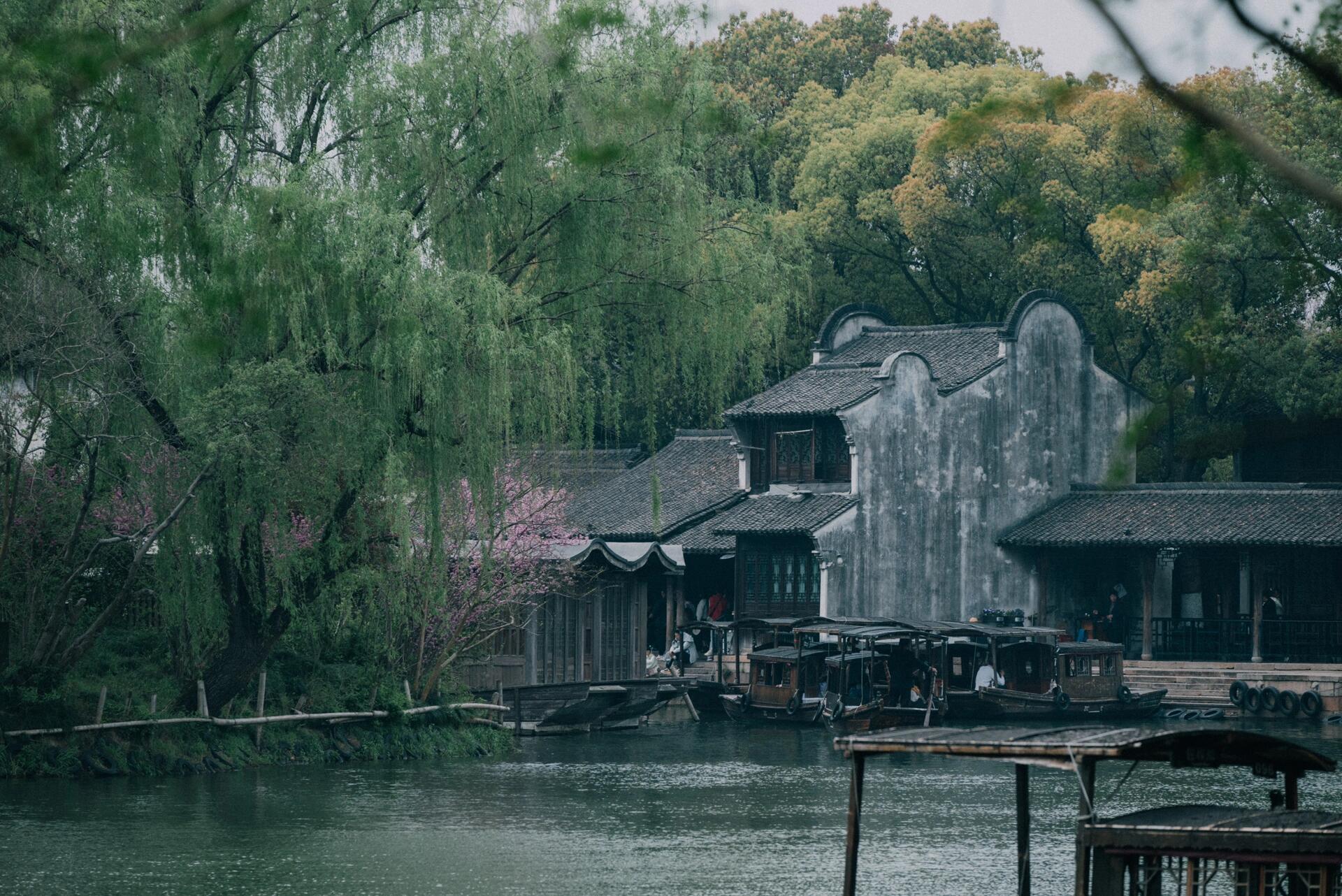 垂柳依依拂碧水，灰瓦白牆隱綠意。烏鎮的靜謐藏在樹影與水波間，菸雨朦朧的詩意，勾勒出江南最溫柔的模樣，一眼便淪陷