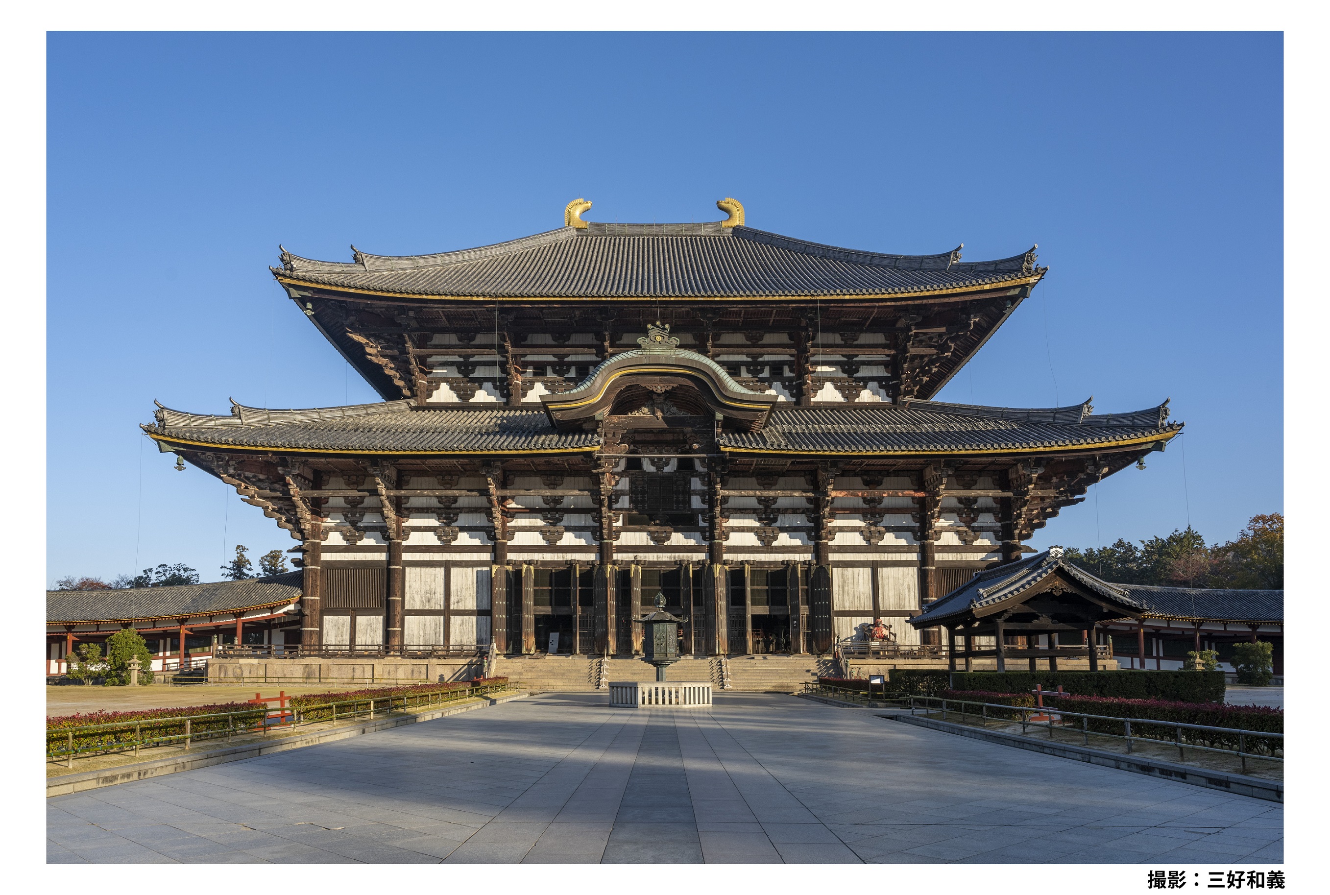 【僅限京都宇治和奈良一日遊】東大寺（照片由奈良縣觀光局提供）