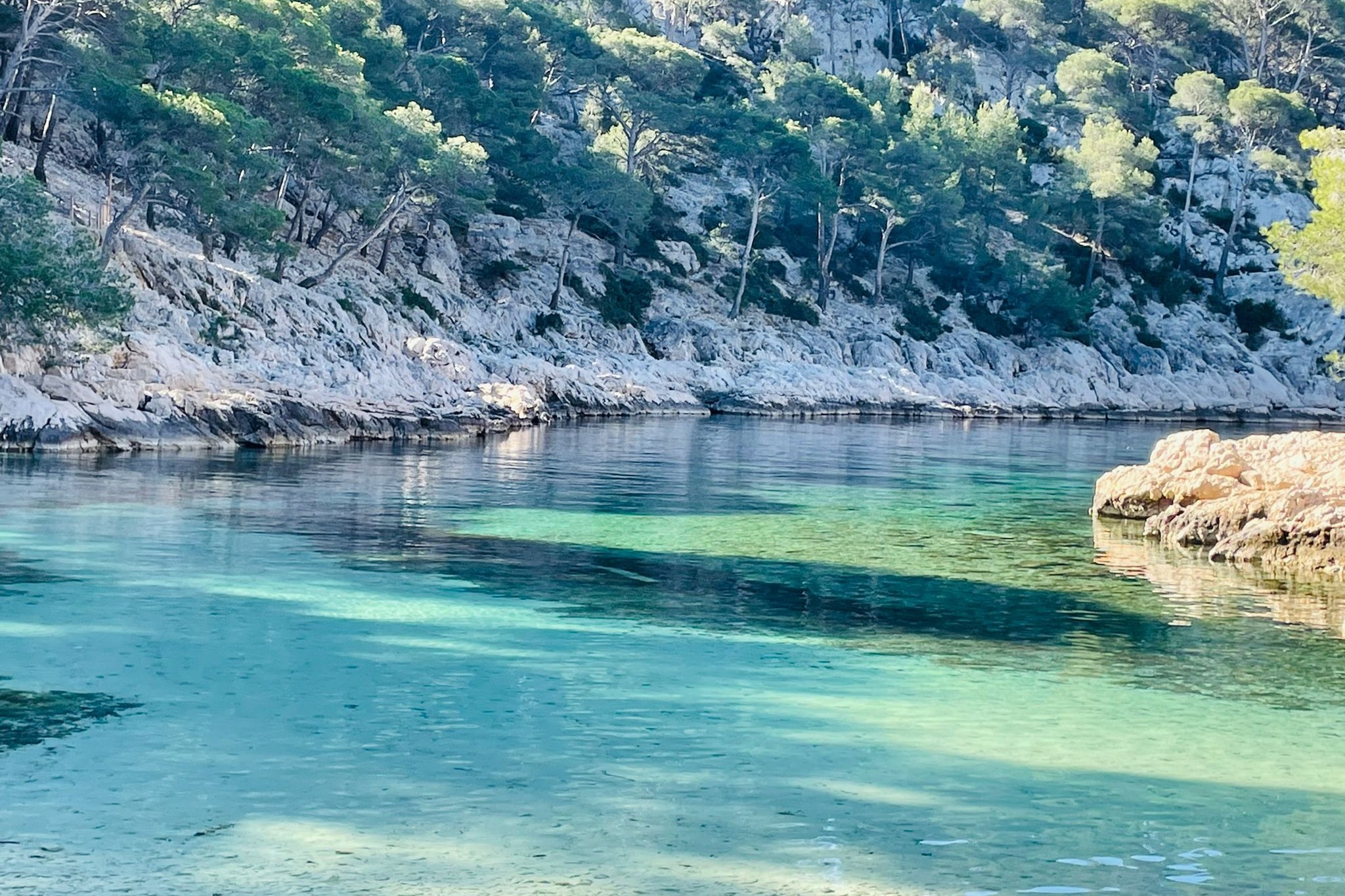 Calanques Guided Hiking Tour from Cassis