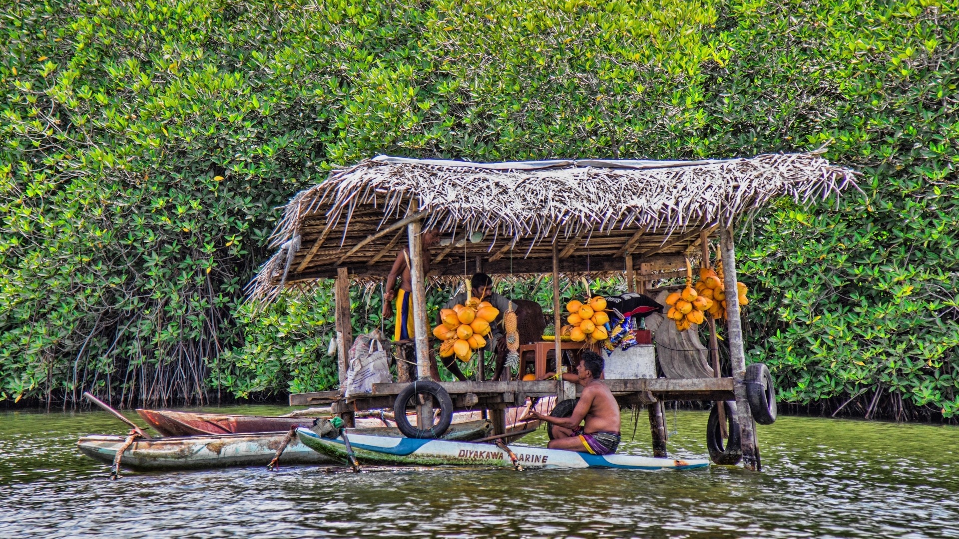 Southern Coast Sri Lanka Day Tour from Colombo or Negombo