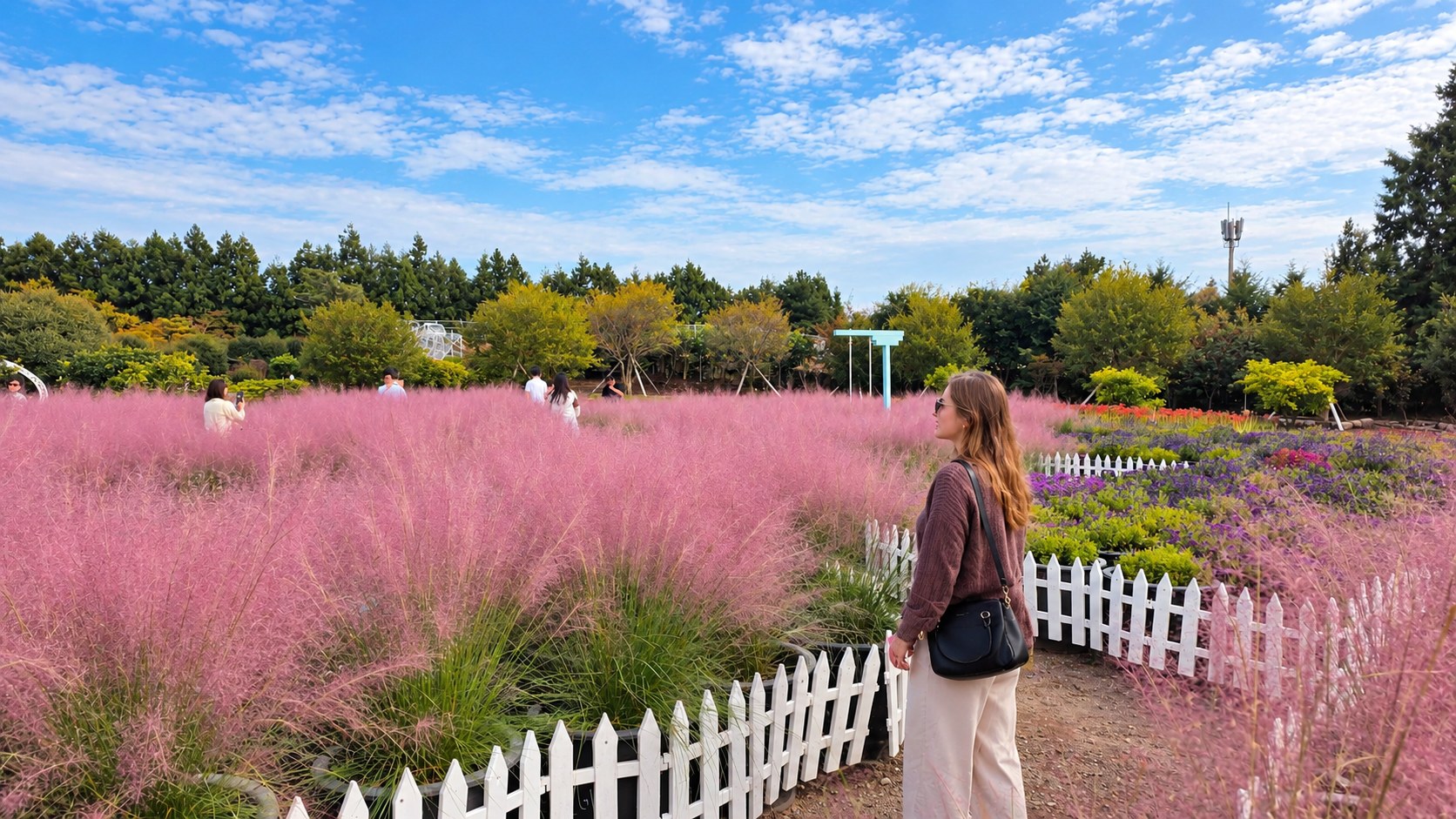 在濟州最大的粉紅 muhly（粉黛亂子草）花園中，以粉嫩的秋日美景為背景，捕捉精彩的網美照！千萬別錯過獨特的濟州體驗，從香甜清爽的採橘子樂趣，到餵食時間與可愛黑豬互動！
