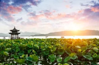 As the heart of "Paradise on Earth," West Lake is surrounded by mountains on three sides and faces the city on one side. The lake water is clear, and the Su and Bai causeways traverse it. A boat ride on the lake offers the stunning artistic conception of 