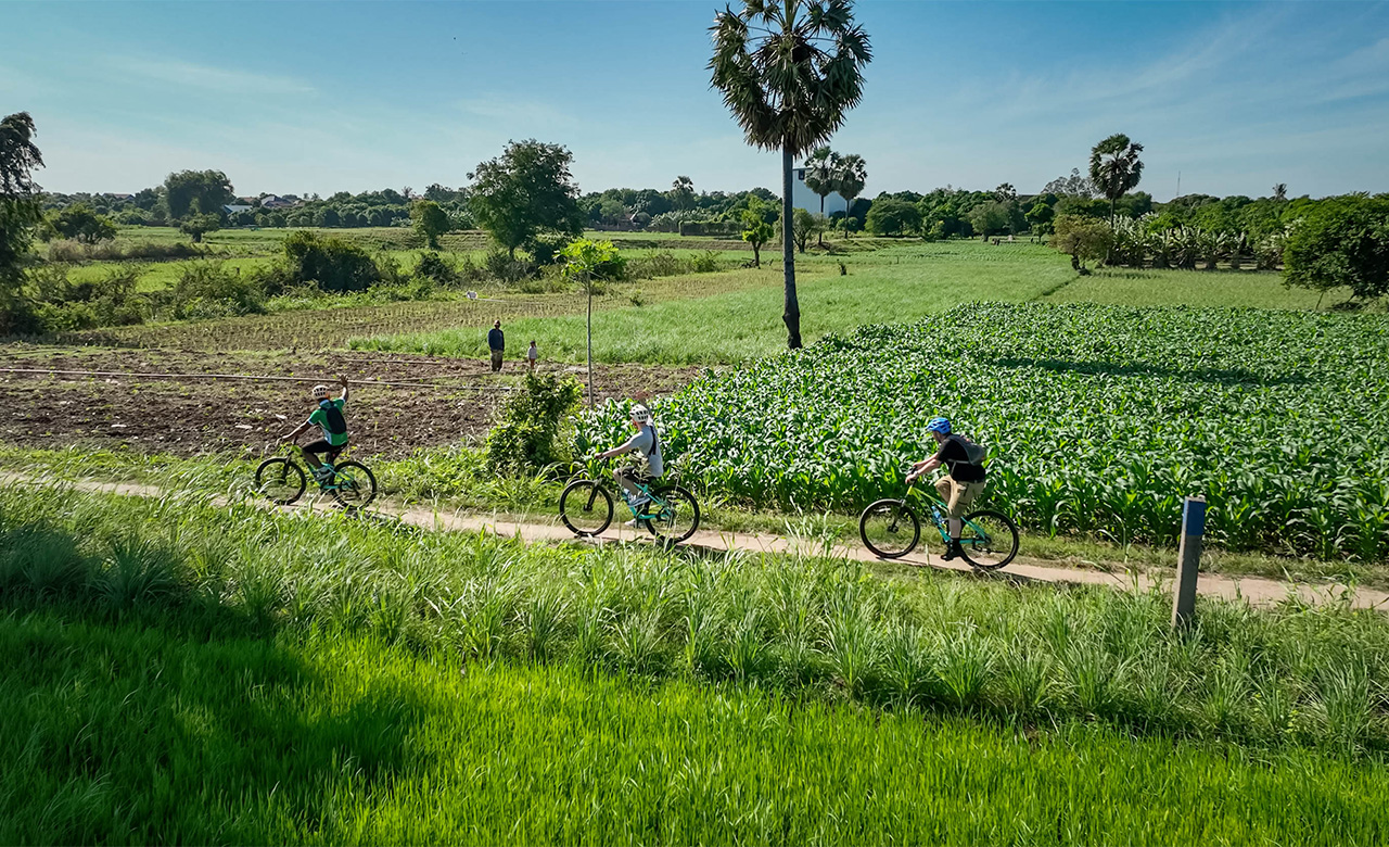 Cycle along the Mekong trail and witness the unique culture, beautiful scenery and vibrant local life that can be found on the various islands along its course. From traditional villages to farmland, there is something for everyone to enjoy when exploring