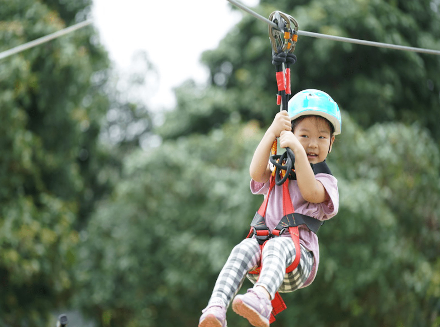 Tarzan Adventure Pattaya 的滑索套餐