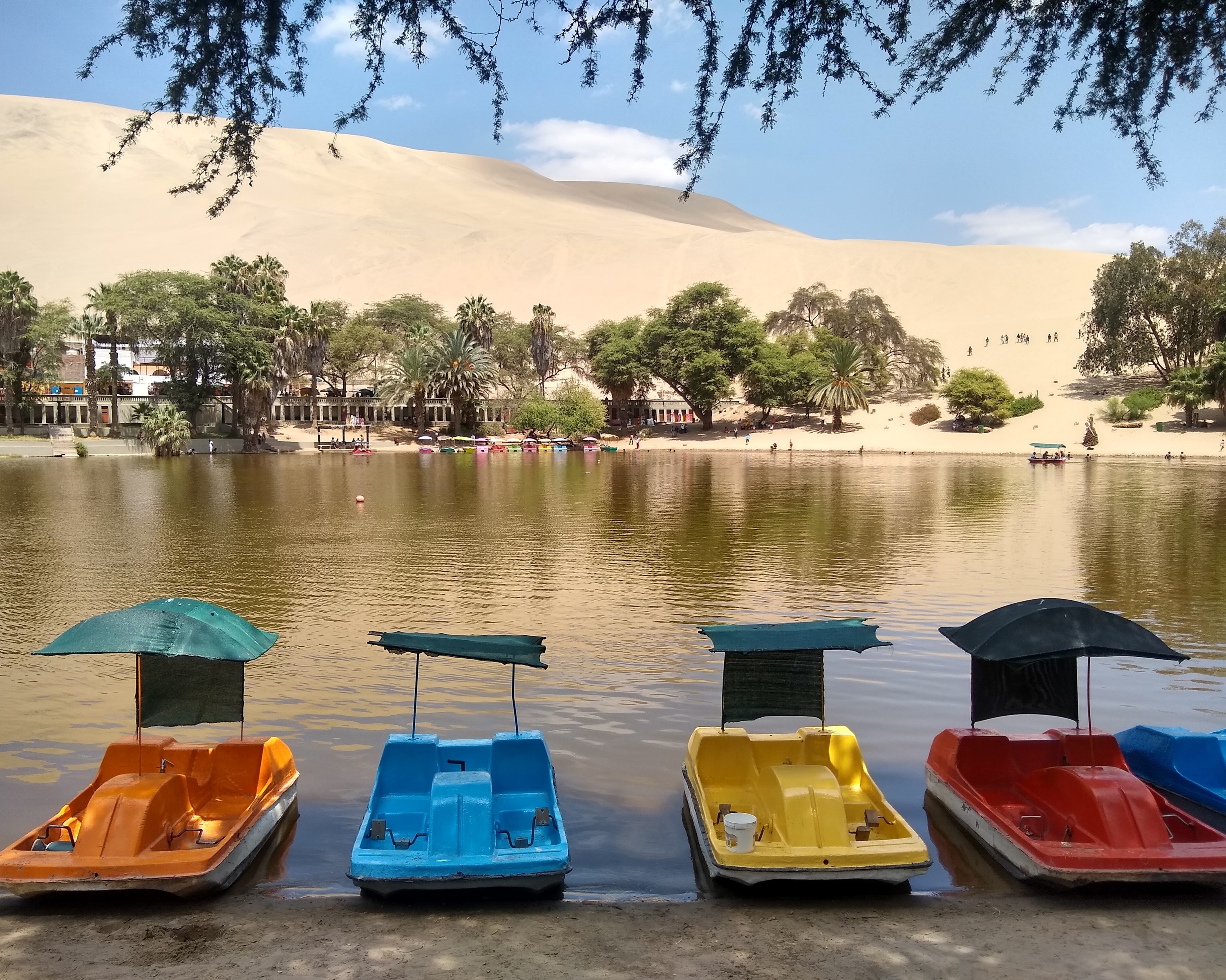 Nazca Lines, Winery and Huacachina Oasis Tour