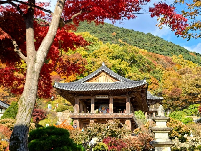 Yeongju Private Taxi Tour by KTX