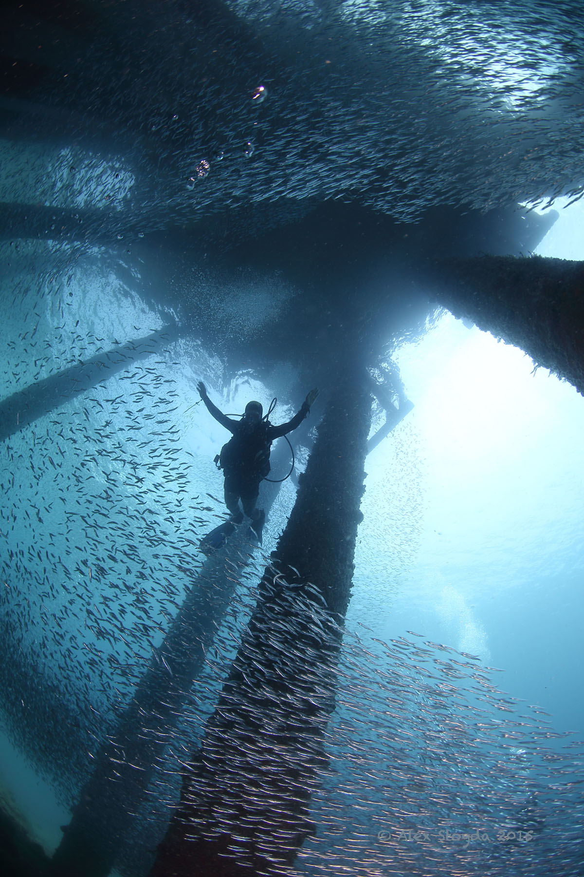 PADI Advanced Open Water Diver