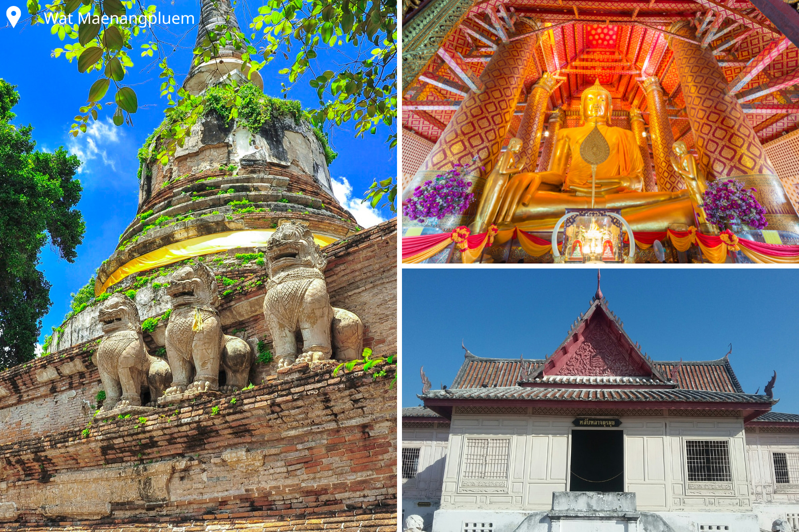 Wat Maenangpluem寺是以作古老寺廟，裡面供奉著Luang Pho Khao雕像（右上角）Wat Phanan Choeng寺以其巨大的坐佛像而聞名，被認為是泰國最美麗的佛像之一。